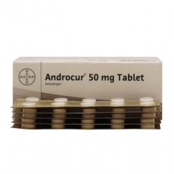 Андрокур (Ципротерон) таблетки 50мг №50 в Грозном и области фото