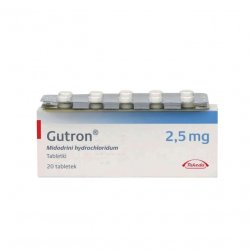 Гутрон таблетки 2,5 мг. №20 в Грозном и области фото