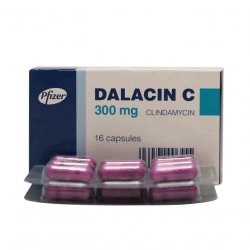 Далацин Ц капсулы 300мг N16 в Грозном и области фото